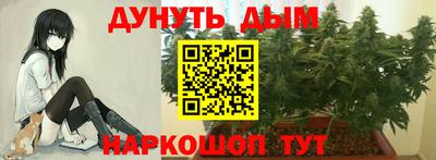 кокс Гусев