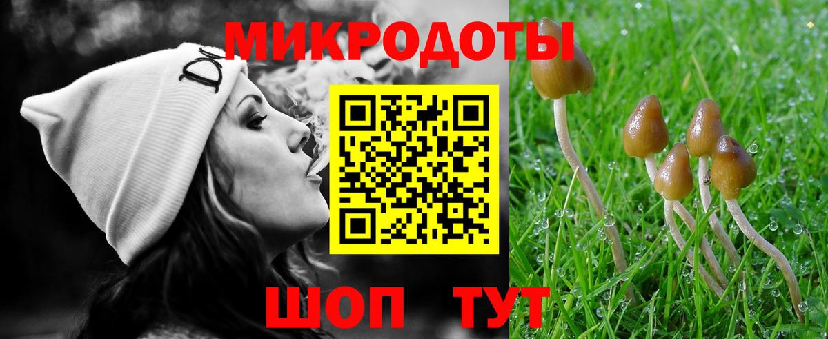 A PVP Нижний Тагил
